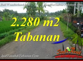  Tanah for sale in Selemadeg, Tabanan, Selemadeg