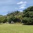 Land for sale in Tuxpan, Veracruz, Tuxpan