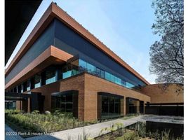 638 m2 Office for rent in Miguel Hidalgo, Mexico City, Miguel Hidalgo