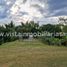  Land for sale in Neira, Caldas, Neira