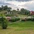  Land for sale in Neira, Caldas, Neira