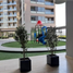 2 Habitación Apartamento en alquiler en Alvaro Obregon, Ciudad de México, Alvaro Obregon, Ciudad de México