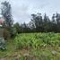  Land for sale in Cuenca, Azuay, Cuenca, Cuenca