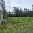  Land for sale in Cuenca, Azuay, Cuenca, Cuenca