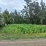  Land for sale in Cuenca, Azuay, Cuenca, Cuenca