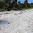 Terrain à vendre à Othon P Blanco, Quintana Roo, Othon P Blanco