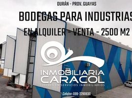  Villa en alquiler en Guayaquil, Guayas, Guayaquil, Guayaquil, Guayas