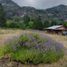 4 Schlafzimmer Haus zu verkaufen in Cushamen, Chubut, Cushamen