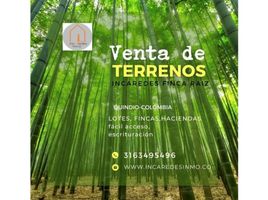 4 Habitación Villa en venta en Quindio, Cordoba, Quindio