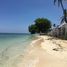 2 Schlafzimmer Haus zu verkaufen in Cebu, Central Visayas, Alcoy