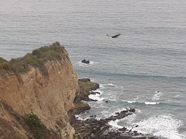  Grundstück zu verkaufen in Puerto Lopez, Manabi, Salango