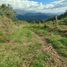  Terreno (Parcela) en venta en La Vega, Cundinamarca, La Vega