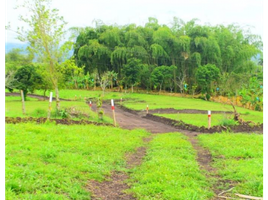  Terreno (Parcela) en venta en Ulloa, Valle Del Cauca, Ulloa