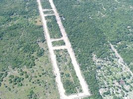  Terreno (Parcela) en venta en Telchac Puerto, Yucatán, Telchac Puerto