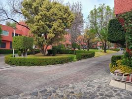 Maison 3 chambre à vendre à Cuajimalpa De Morelos, Mexico City, Cuajimalpa De Morelos