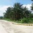  Land for sale in Cebu Central Visayas, Lapu-Lapu City