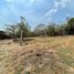  Land for sale in Tepoztlan, Morelos, Tepoztlan, Morelos, Mexico