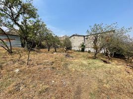  Land for sale in Tepoztlan, Morelos, Tepoztlan, Morelos, Mexico