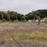 Land for sale in Hermosillo, Sonora, Hermosillo, Sonora
