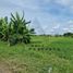  Land for sale in Denpasar, Bali, Denpasar Barat, Denpasar