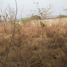  Land for sale in Temixco, Morelos, Temixco