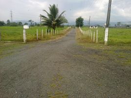  Land for sale in Santo Domingo De Los Colorados, Santo Domingo De Los Tsachilas, Santo Domingo De Los Colorados, Santo Domingo, Santo Domingo De Los Tsachilas