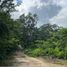 Terrain à vendre à Othon P Blanco, Quintana Roo, Othon P Blanco