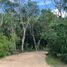 Terrain à vendre à Othon P Blanco, Quintana Roo, Othon P Blanco