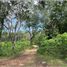 Terrain à vendre à Othon P Blanco, Quintana Roo, Othon P Blanco