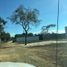  Land for sale in Berriozabal, Chiapas, Berriozabal