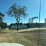  Land for sale in Berriozabal, Chiapas, Berriozabal