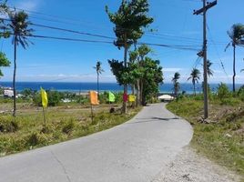 3 Bedroom House for sale in San Fernando, Cebu, San Fernando