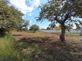  Land for sale in Ayala, Morelos, Ayala