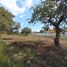  Land for sale in Ayala, Morelos, Ayala