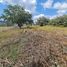  Land for sale in Ayala, Morelos, Ayala