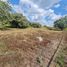  Land for sale in Ayala, Morelos, Ayala