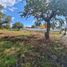  Land for sale in Ayala, Morelos, Ayala