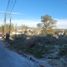  Grundstück zu verkaufen in Tijuana, Baja California, Tijuana