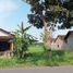 Terreno (Parcela) en venta en Seyegan, Yogyakarta, Seyegan, Sleman, Yogyakarta