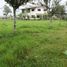  Land for sale in Santo Domingo De Los Colorados, Santo Domingo De Los Tsachilas, Santo Domingo De Los Colorados, Santo Domingo, Santo Domingo De Los Tsachilas