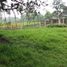  Land for sale in Santo Domingo De Los Colorados, Santo Domingo De Los Tsachilas, Santo Domingo De Los Colorados, Santo Domingo, Santo Domingo De Los Tsachilas