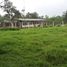  Land for sale in Santo Domingo De Los Colorados, Santo Domingo De Los Tsachilas, Santo Domingo De Los Colorados, Santo Domingo, Santo Domingo De Los Tsachilas