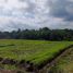  Tanah for sale in Kerambitan, Tabanan, Kerambitan