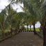  Terreno (Parcela) en venta en Tabanan, Bali, Tabanan, Tabanan, Bali, Indonesia
