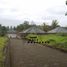  Terreno (Parcela) en venta en Tabanan, Bali, Tabanan, Tabanan, Bali, Indonesia