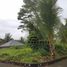  Terreno (Parcela) en venta en Tabanan, Bali, Tabanan, Tabanan, Bali, Indonesia