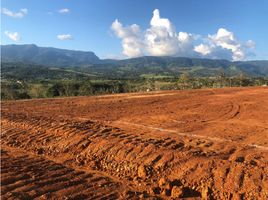  Terreno (Parcela) en venta en San Martín, La Banda de Shilcayo, San Martín, San Martín