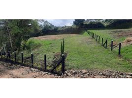  Land for sale in El Carmen De Viboral, Antioquia, El Carmen De Viboral