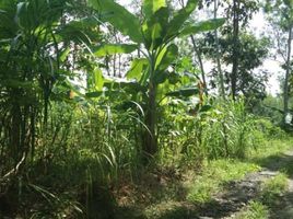  Tanah for sale in Pengasih, Kulon Progo, Pengasih