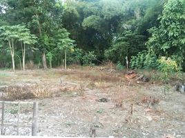  Tanah for sale in Gamping, Sleman, Gamping